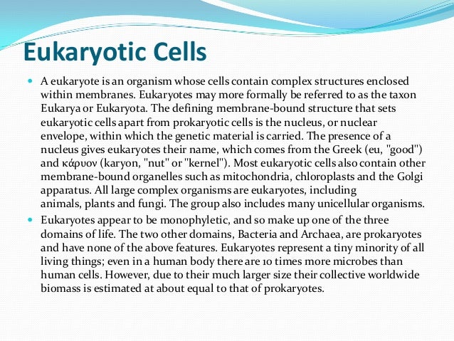 an analysis of paleontology and its explanation of evolution Material outlining biological, phylogenetic and evolutionary species concepts, from the blog's first year. an analysis of paleontology and its explanation of evolution Material outlining biological, phylogenetic and evolutionary species concepts, from the blog's first year.
